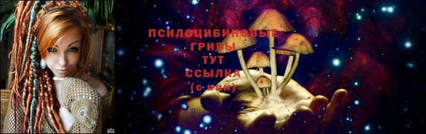 гидропоника Вязники